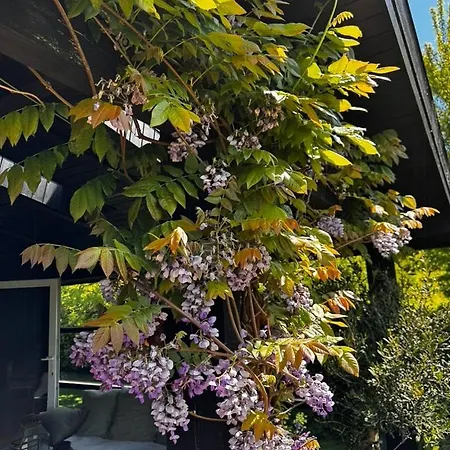 Σπίτι διακοπών Renovated Wooden House At