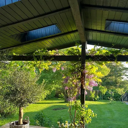 Renovated Wooden House At *